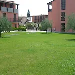 Mavi *