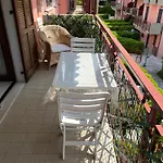 Mavi